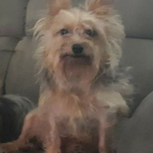 Meet your Posher, Rick